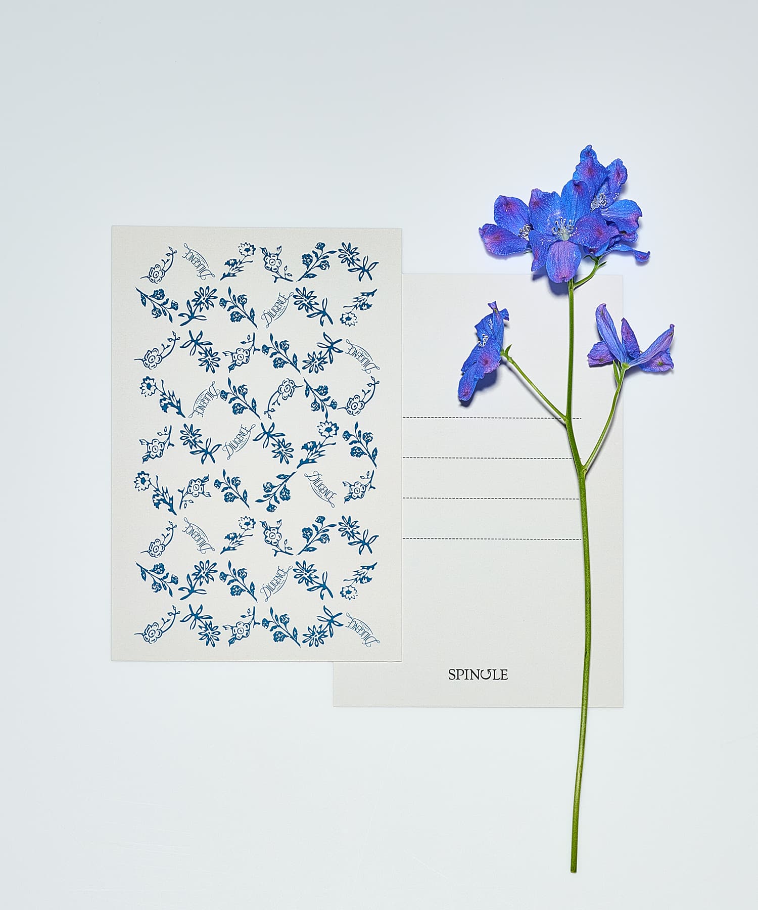 SP-1425 Print - SPINGLE