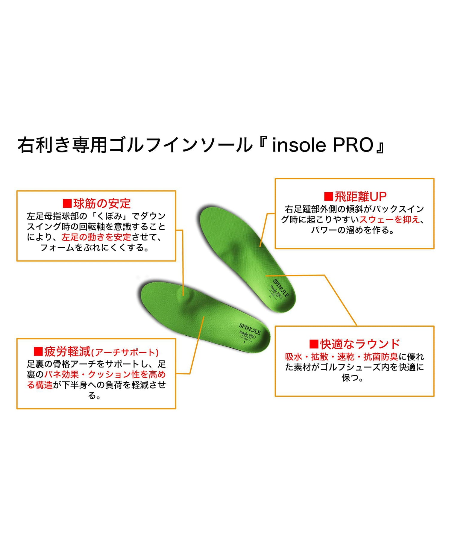 SP-1651 - SPINGLE